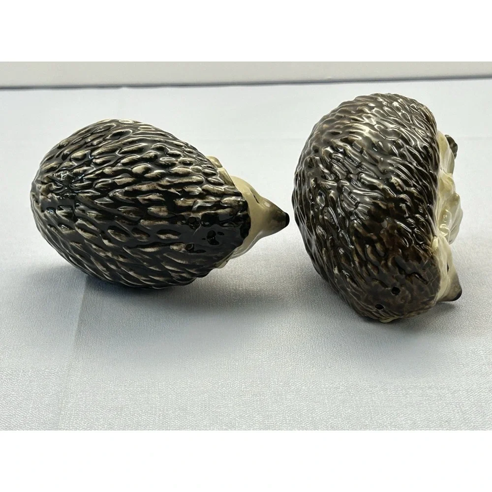 Ceramic Hedgehog Salt & Pepper Shaker Set Woodland Daisy Cottagecore Decor